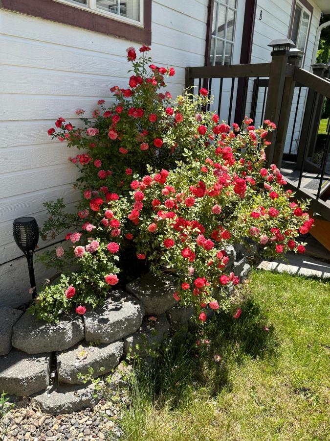 Cozy Cottage House B With Double Carport Твін-Фоллс Екстер'єр фото